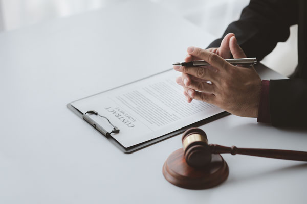 Litigation Law Expertise